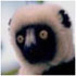 lemurofdoom's Avatar