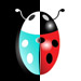 Ronze's Avatar