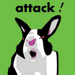 AttackRabbit's Avatar