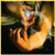 the_protectot's Avatar