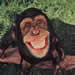 sand_monkey's Avatar